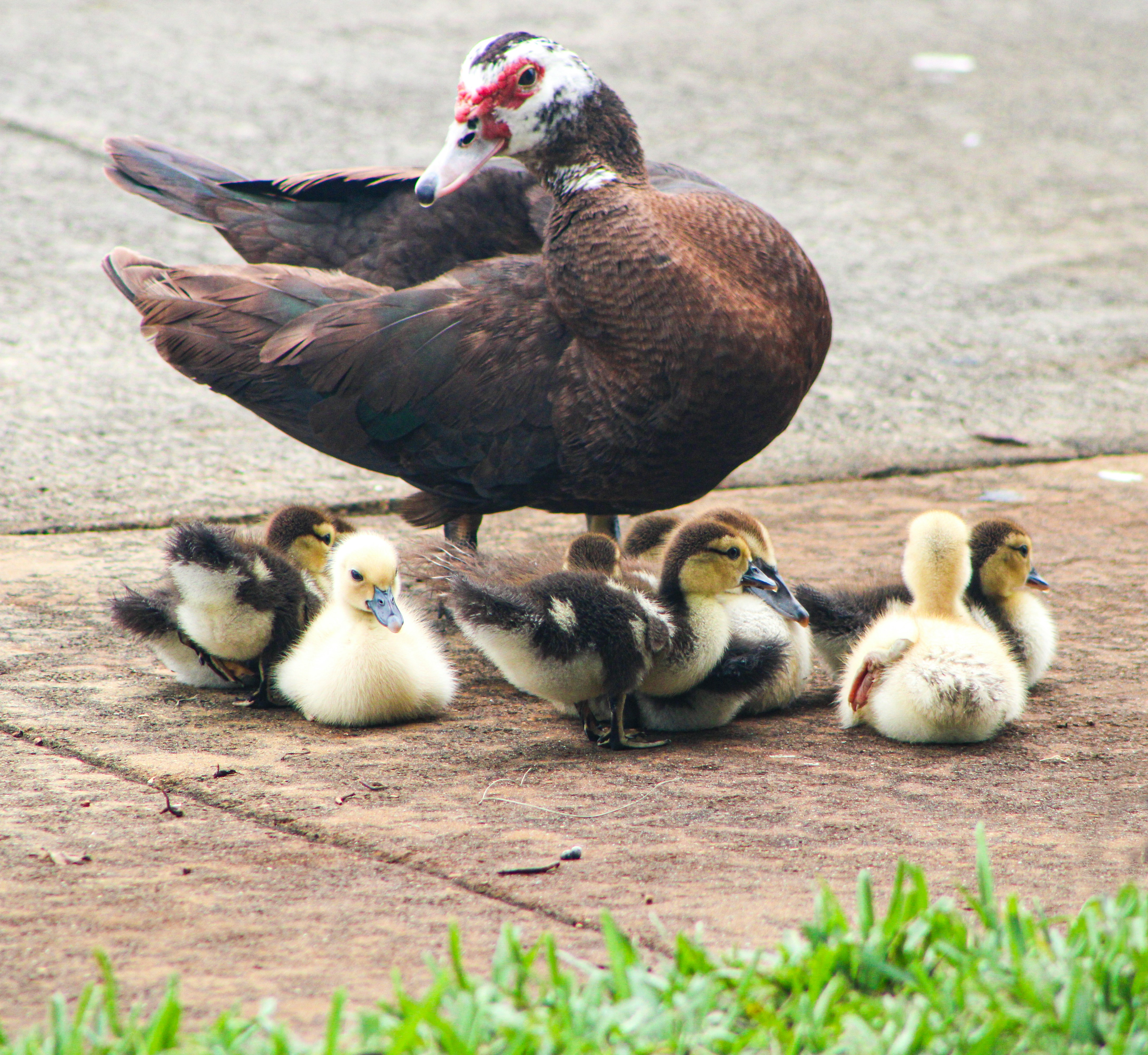 Blog 2 Personal  Family  by hortensia carmona unsplash