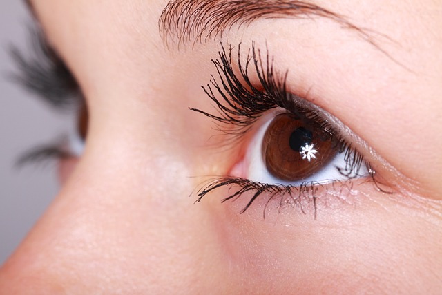 Current Job Eyes Pixabay 640