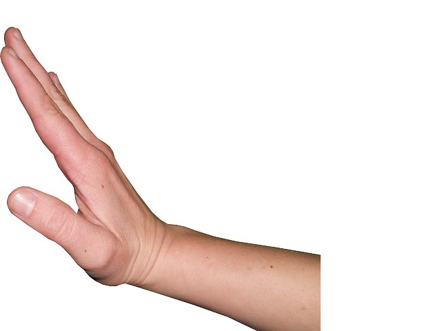 Hold-Pixabay-free.png