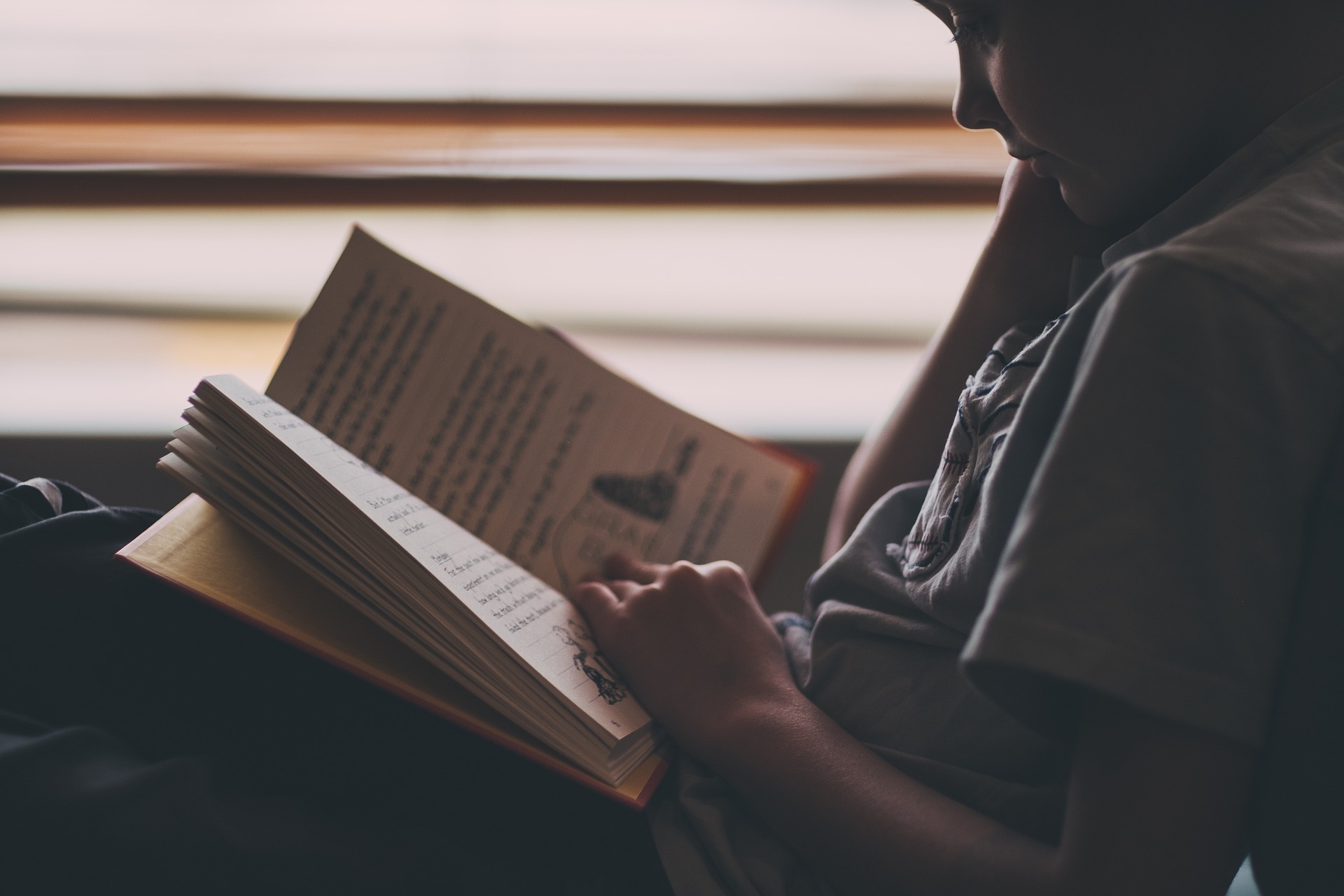 Kids_Reading_Pixabay.jpg