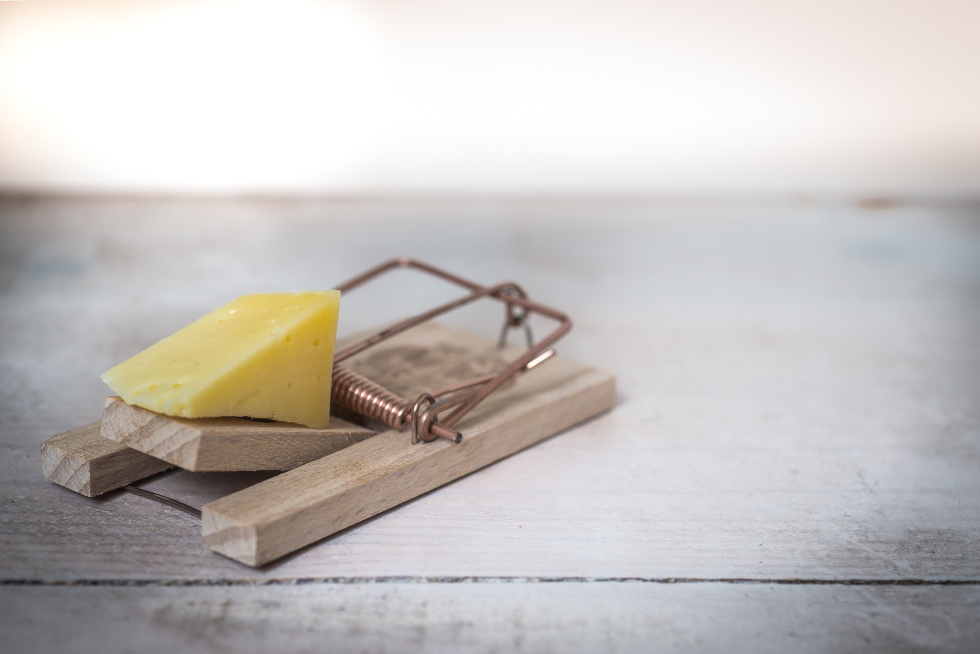 MouseTrap_image_PIxabay.jpg