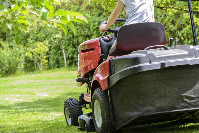 Mow_-_Pixabay_-_free.jpg