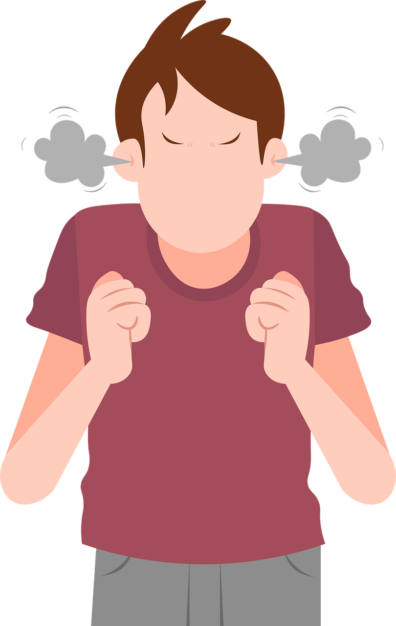 Nerves2-Pixabay-free.png