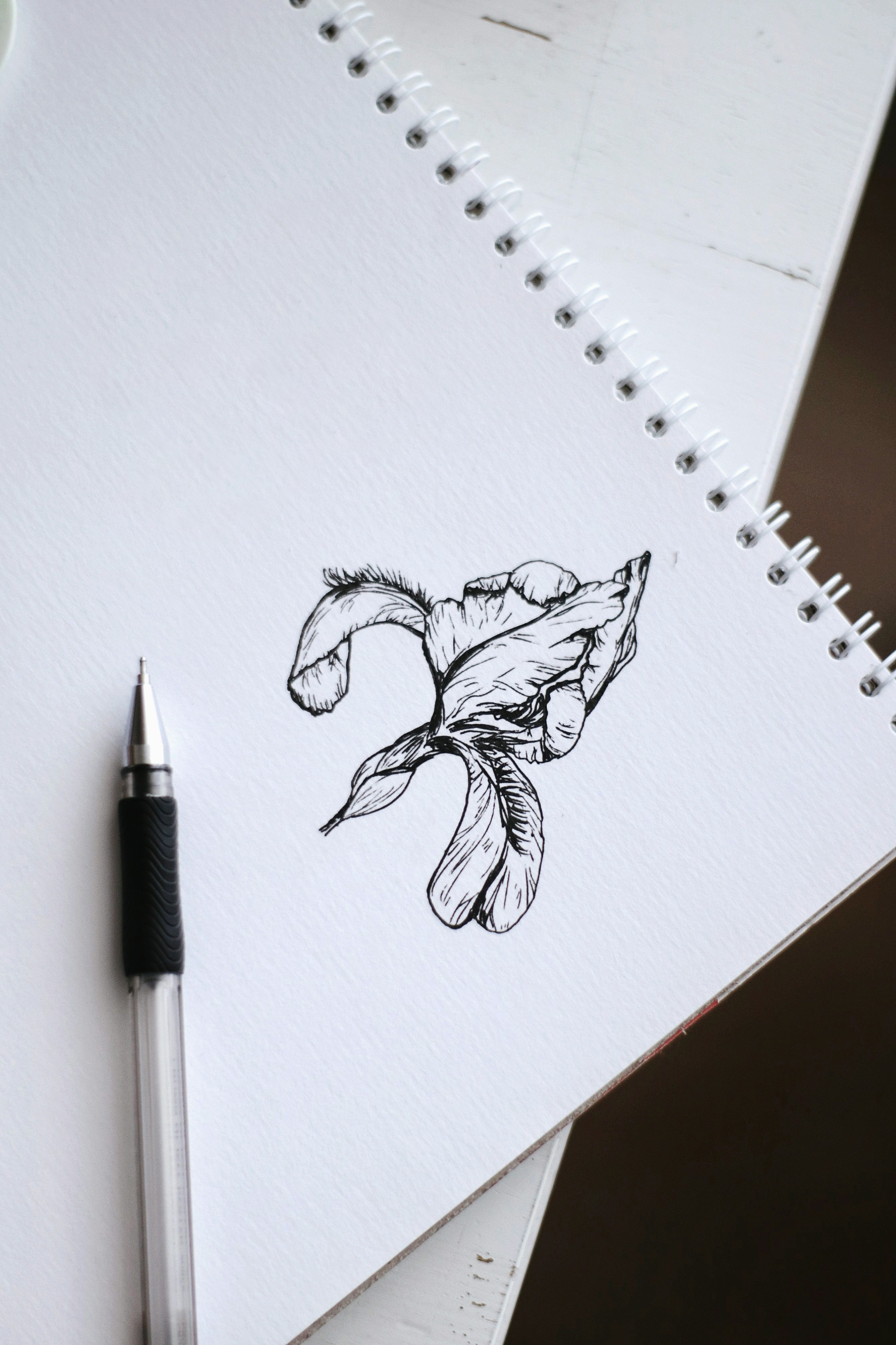 PAY    Doodle  3  unsplash